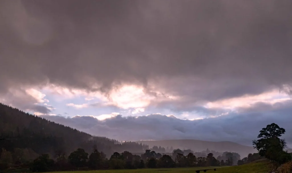 Ah Rosebery Landscapedsc 9673,adrian Houston Rosebery Oct 2020