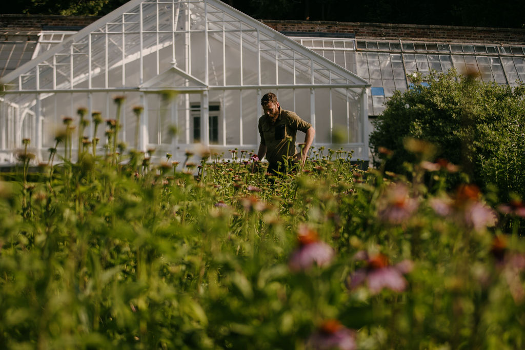Lockstockstudios Roseberyestates Gardens 15