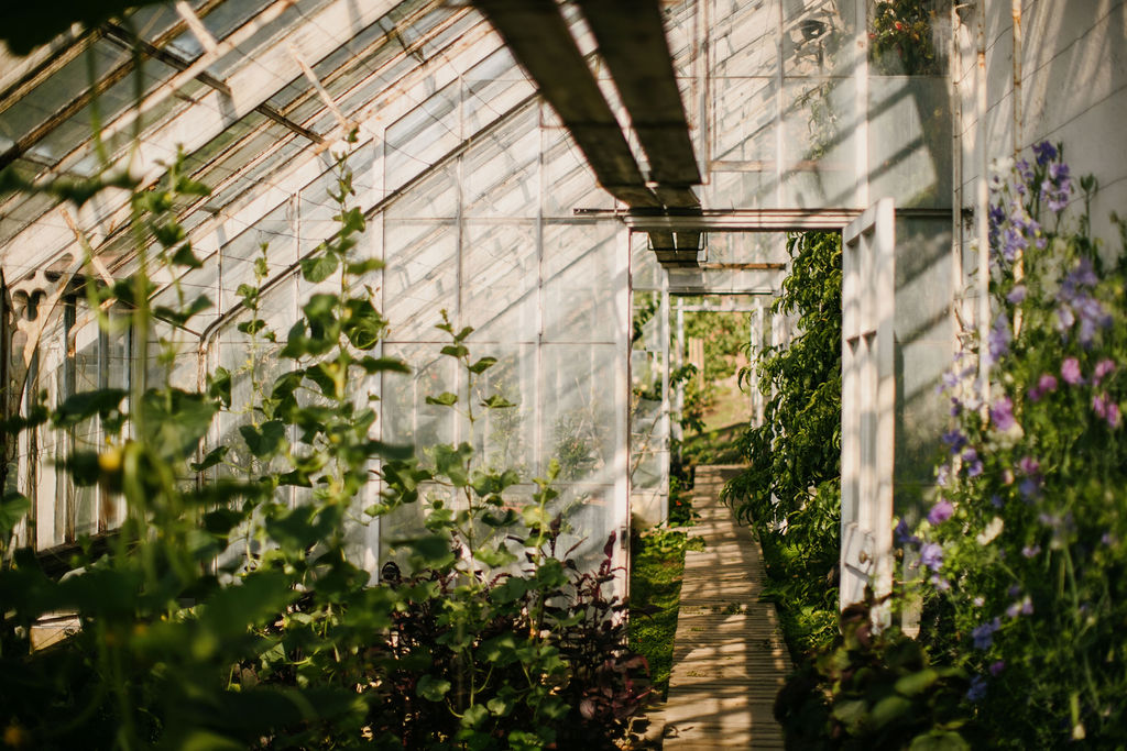 Lockstockstudios Roseberyestates Gardens 27