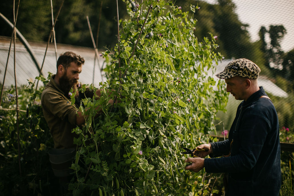 Lockstockstudios Roseberyestates Gardens 50