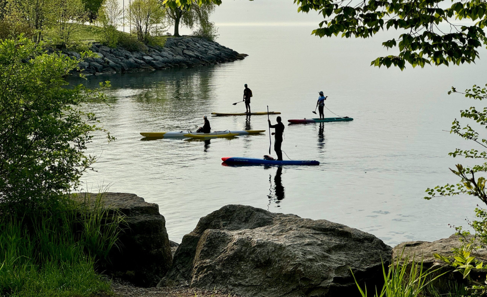 Paddle Boarding
