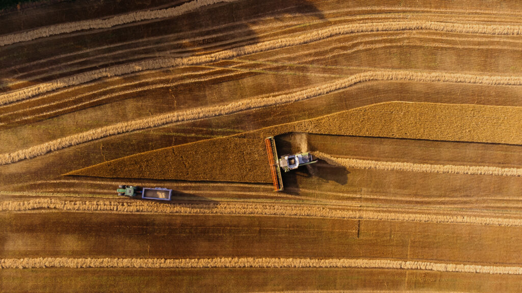 Lockstockstudios Roseberyestates Harvest36 (1)