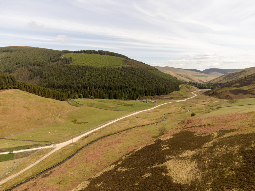 Lockstockstudios Rosebery Forestry 3