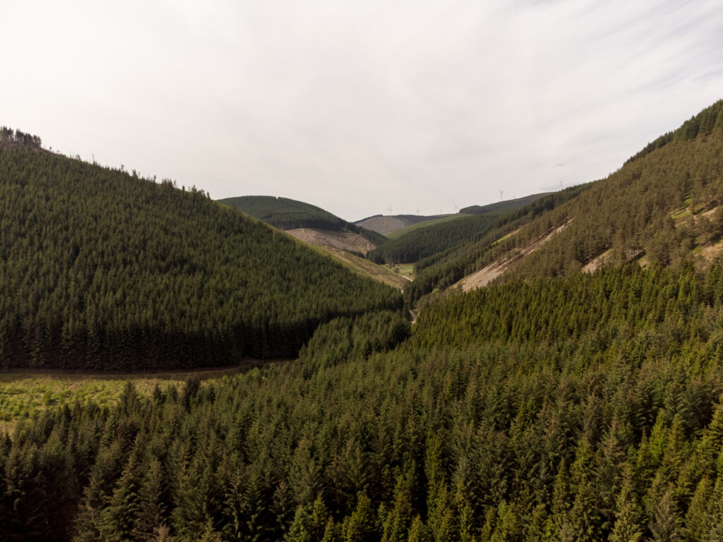 Lockstockstudios Rosebery Forestry 4